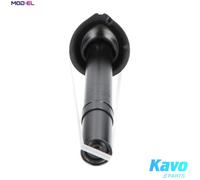 KAVO PARTS SSA-10035 Shock absorber