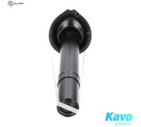 KAVO PARTS SSA-10035 Shock absorber