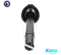 SHOCK ABSORBER SSA-10035 FOR BMW M47D20 2.0L 4cyl 5 E39 M57D25 M51D25 M54B25