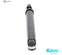 KAVO PARTS SSA-10038 Shock absorber