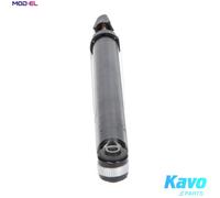 KAVO PARTS SSA-10038 Shock absorber