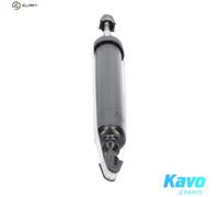 Shock absorber Rear Axle Top pin SSA-10039 KAVO PARTS for BMW 3 Touring 3 1