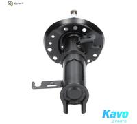 KAVO PARTS SSA-10040 Shock absorber
