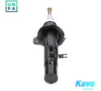 KAVO PARTS SSA-10057 Shock absorber