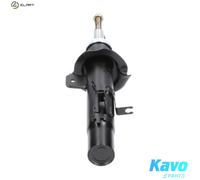 KAVO PARTS SSA-10057 Shock absorber