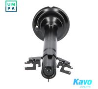 KAVO PARTS SSA-10059 Shock absorber