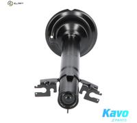 KAVO PARTS SSA-10059 Shock absorber