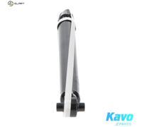 KAVO PARTS SSA-1006 Shock absorber