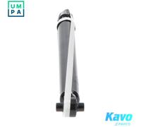 KAVO PARTS SSA-1006 Shock absorber