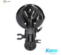 KAVO PARTS SSA-1008 Shock absorber