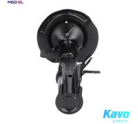 KAVO PARTS SSA-10089 Shock absorber