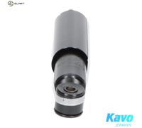 KAVO PARTS SSA-10110 Shock absorber