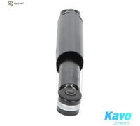 KAVO PARTS SSA-10111 Shock absorber