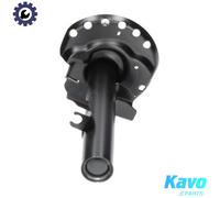 KAVO PARTS SSA-10129 Shock absorber