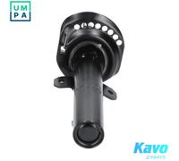 KAVO PARTS SSA-10130 Shock absorber