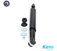 Kavo Parts Shock Absorber SSA-1014 - Rear axle bottom eye - for Daewoo & Opel