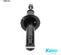 KAVO PARTS SSA-10147 Shock absorber