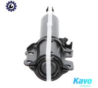 KAVO PARTS SSA-10155 Shock absorber
