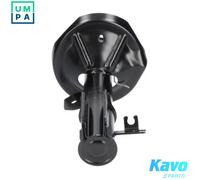 KAVO PARTS SSA-1017 Shock absorber