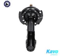 KAVO PARTS SSA-10173 Shock absorber