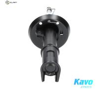 SHOCK ABSORBER SSA-10176 FOR VAUXHALL ZAFIRA/Mk OPEL X18XE1Z18/X181XE 1.8L 4cyl