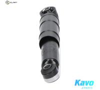 KAVO PARTS SSA-10188 Shock absorber