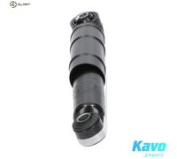 KAVO PARTS SSA-10188 Shock absorber