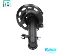 KAVO PARTS SSA-10206 Shock absorber