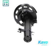 KAVO PARTS SSA-10209 Shock absorber