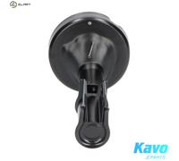 KAVO PARTS SSA-10212 Shock absorber