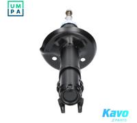 KAVO PARTS SSA-10213 Shock absorber