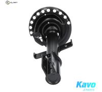 Kavo Parts Shock Absorber SSA-10236 Front Axle Top Pin for Renault Captur I