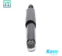 KAVO PARTS SSA-10238 Shock absorber