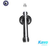 KAVO PARTS SSA-10241 Shock absorber
