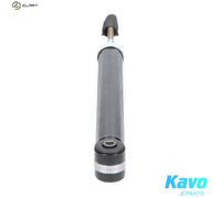 KAVO PARTS SSA-10248 Shock absorber