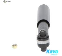 KAVO PARTS SSA-10260 Shock absorber