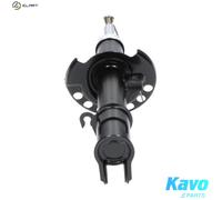 KAVO PARTS SSA-10271 Shock absorber