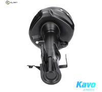 KAVO PARTS SSA-10283 Shock absorber