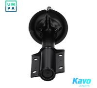 KAVO PARTS SSA-10307 Shock absorber