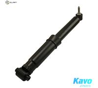 KAVO PARTS SSA-10312 Shock absorber