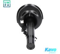 KAVO PARTS SSA-10338 Shock absorber