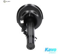 KAVO PARTS SSA-10338 Shock absorber