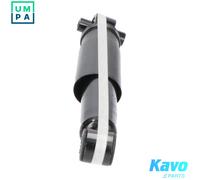 KAVO PARTS SSA-10350 Shock absorber