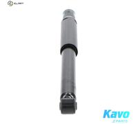 KAVO PARTS SSA-10352 Shock absorber