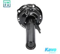 SHOCK ABSORBER SSA-10365 FOR SKODA OCTAVIA/III/Combi VW GOLF/VII/Van/VAN SEAT