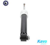 KAVO PARTS SSA-10566 Shock absorber