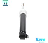 SHOCK ABSORBER SSA-10566 FOR BMW X5/SAV/E53 M57D30 M54B30 3.0L M57D30 2.9L 6cyl