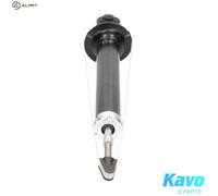 SHOCK ABSORBER SSA-10585 FOR LEXUS 1G-FE 2.0L 2JZ-GE 3.0L 6cyl IS I