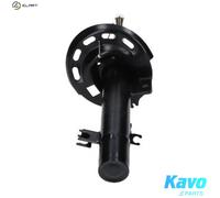 KAVO PARTS SSA-10597 Shock absorber