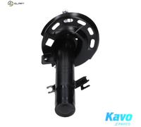 KAVO PARTS SSA-10599 Shock absorber